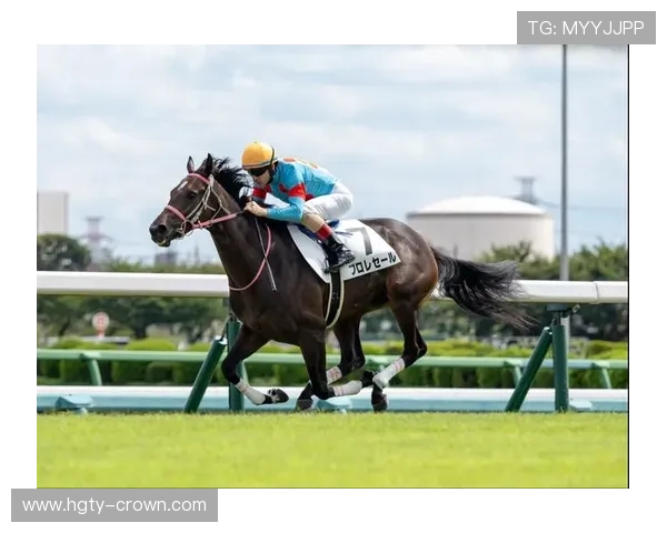 2025年澳大利亚一级赛邓格锦标精彩纷呈 聚焦3岁以上赛马草地2400米赛事